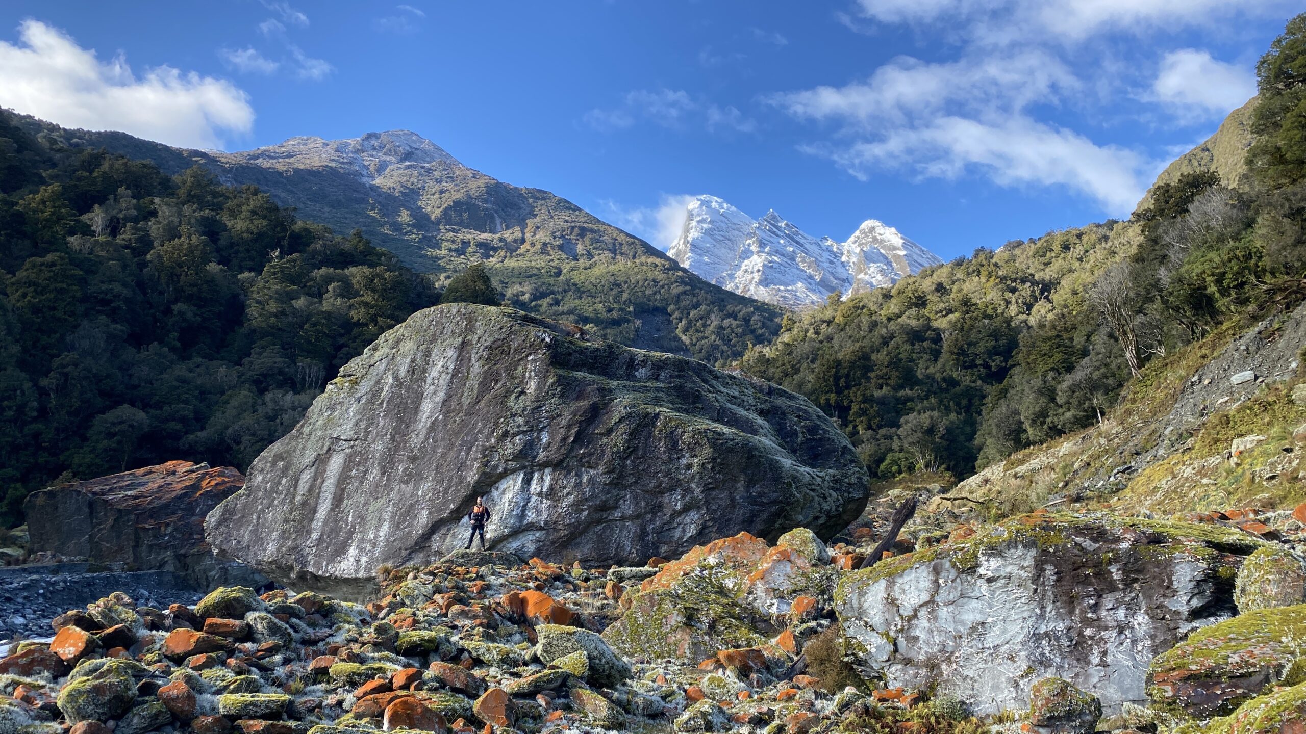 Update: Whataroa-Butler catchment area