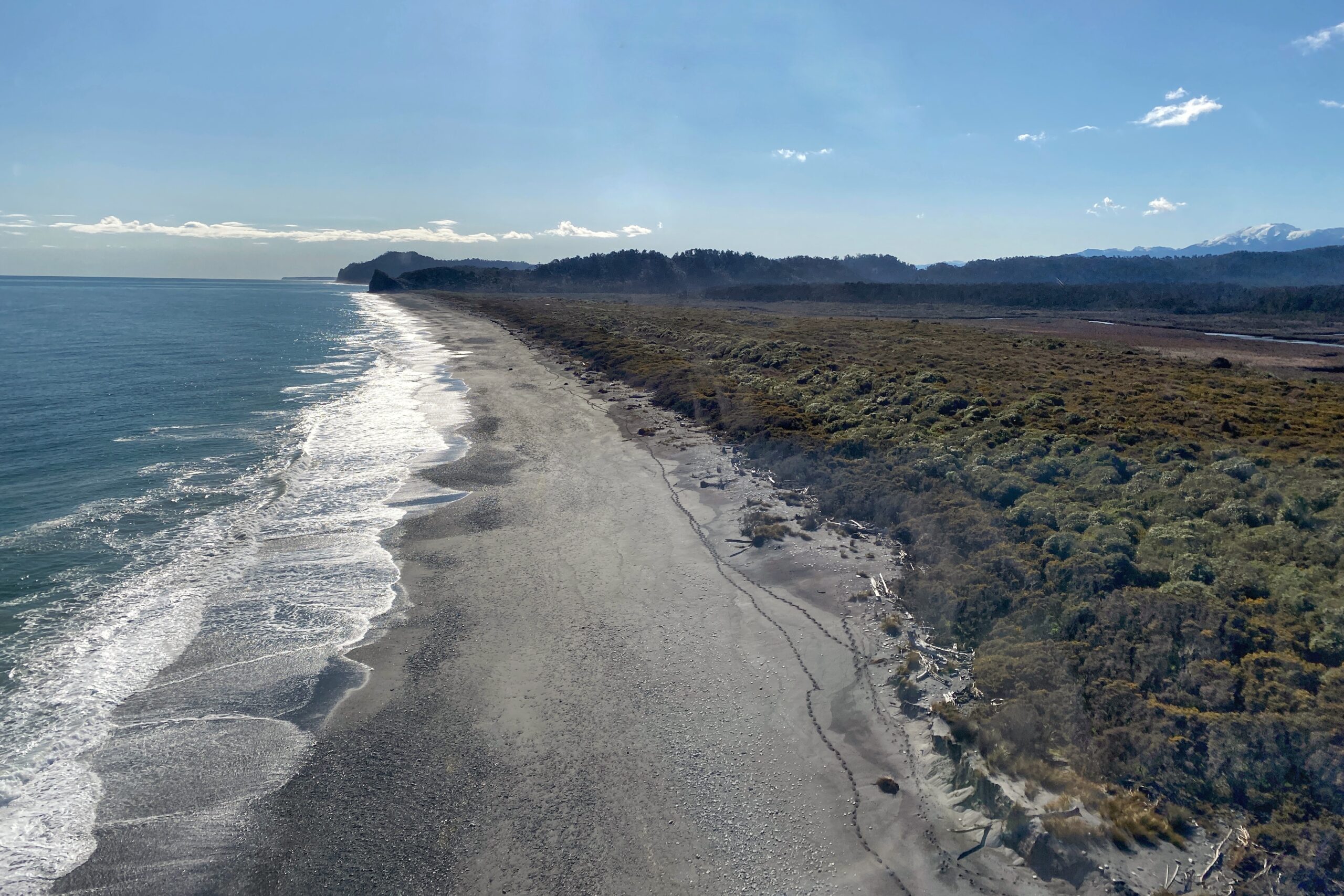 Phase 1 predator elimination  operation being completed in the South Ōkārito block