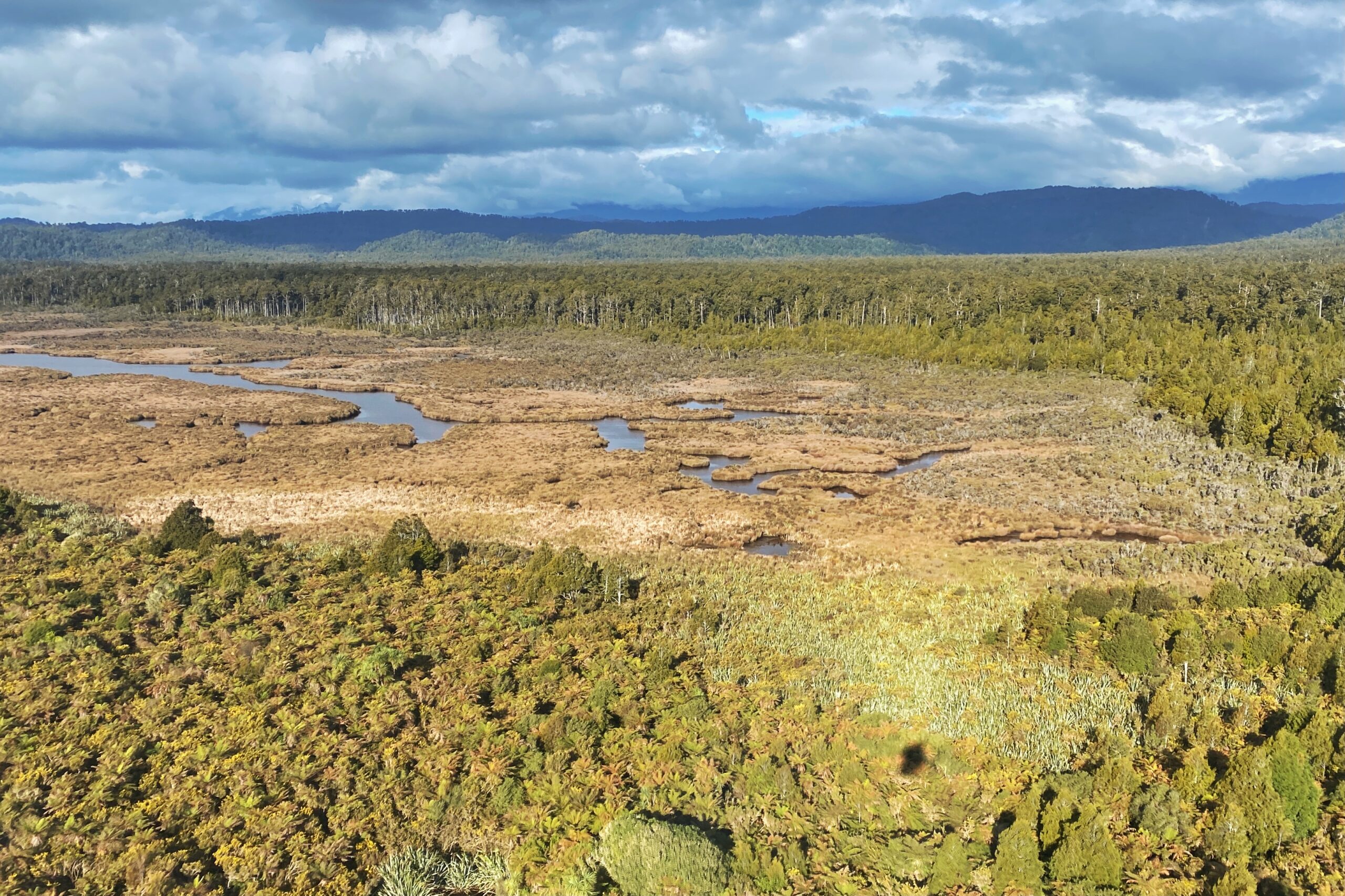 Phase 1 of predator elimination work is continuing in the South Ōkārito block